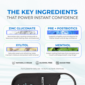 The Discovery Set (All 5 Flavors)